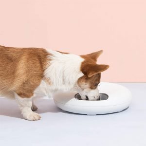 Intelligent Wet & Dry Food Dispenser 6-Compartments 180ml Cat and Dog Pet Auto-Feeder_1