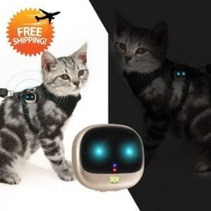 GPS Pet Tracker Device & Pet Collar Navigation System – Dropshipping & Wholesale